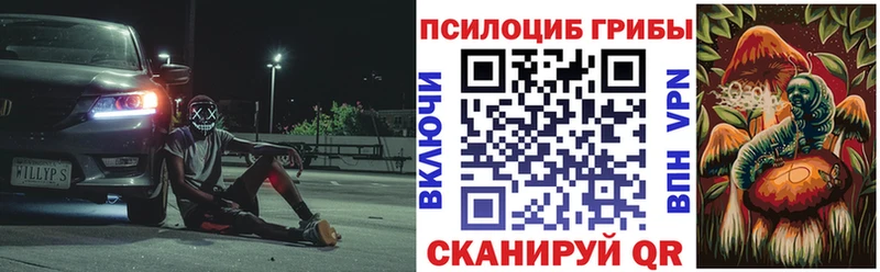 купить   Ухта  Псилоцибиновые грибы Magic Shrooms 