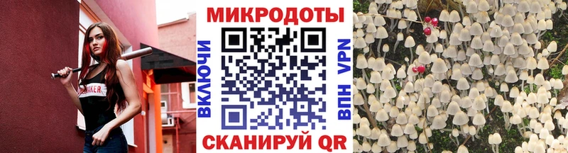 Псилоцибиновые грибы Psilocybine cubensis Ухта